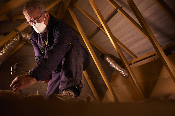 Best Residential Insulation in Roanoke, IN